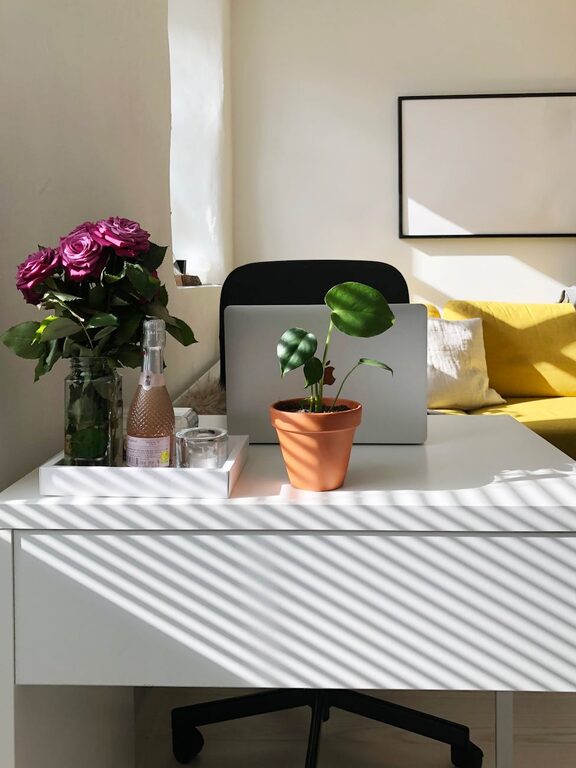 Consejos prácticos para mejorar la productividad trabajando desde casa